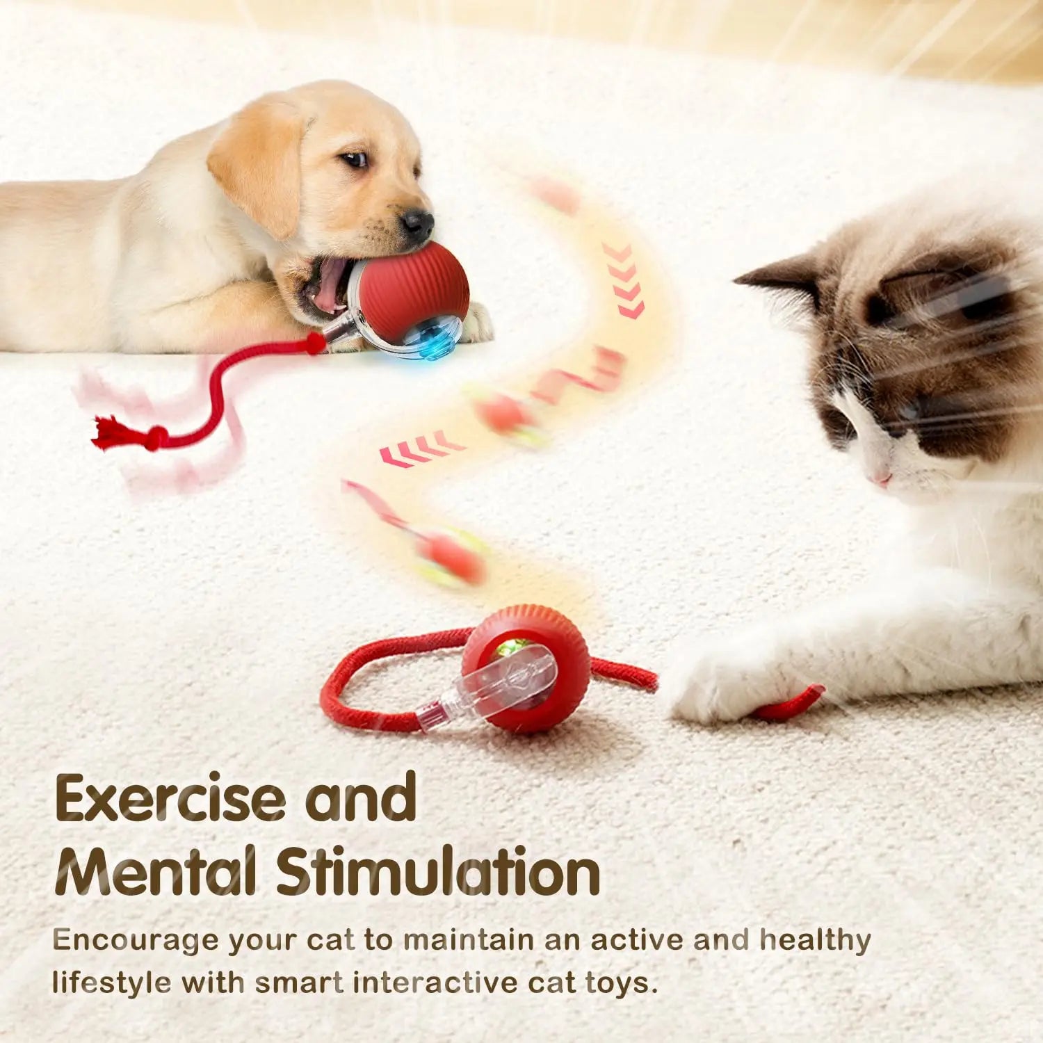 Rechargeable Smart Cat Exercise Ball Toy