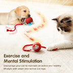 Rechargeable Smart Cat Exercise Ball Toy