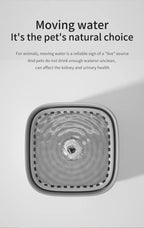 Automatic Cat Drinking Fountain With Filter