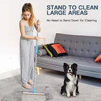 Pet Hair Remover Carpet Rake Tool