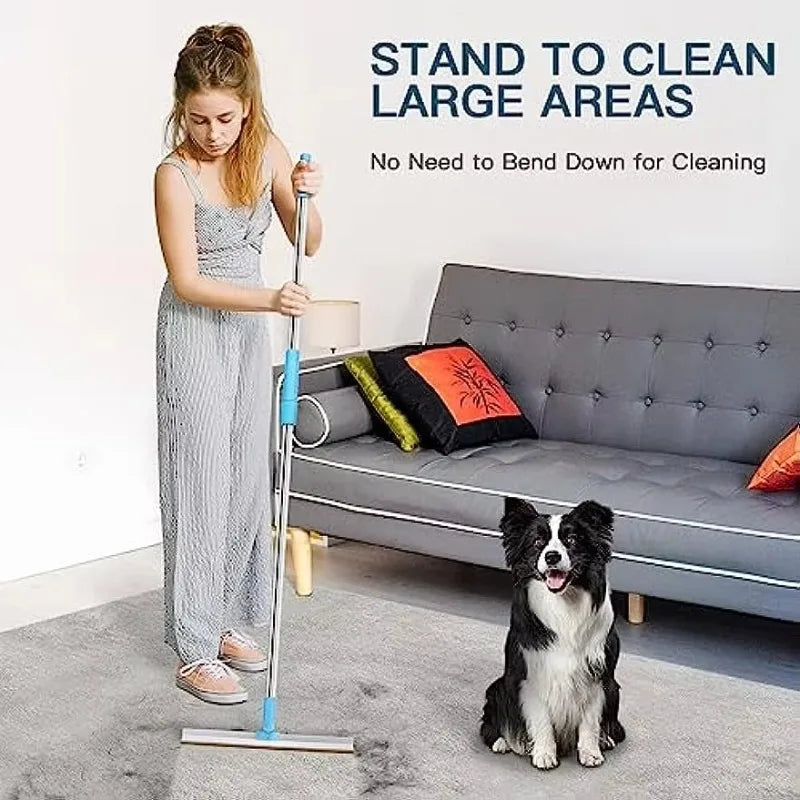 Pet Hair Remover Carpet Rake Tool
