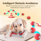 Rechargeable Smart Cat Exercise Ball Toy