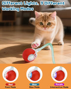 Rechargeable Smart Cat Exercise Ball Toy