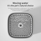 Automatic Cat Drinking Fountain With Filter
